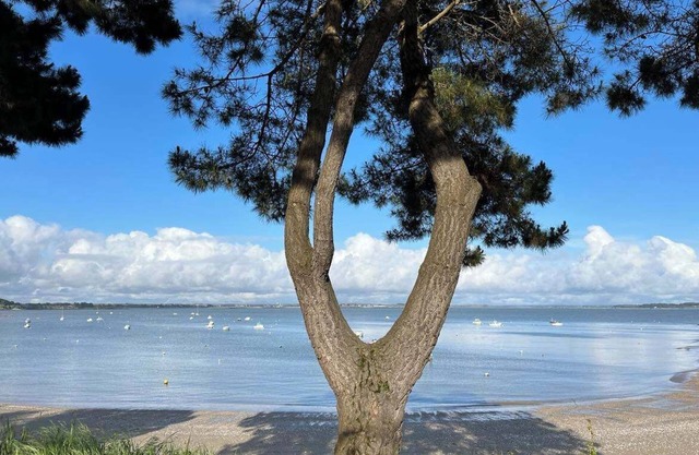 Charming house 300 M from the sea for 6 people