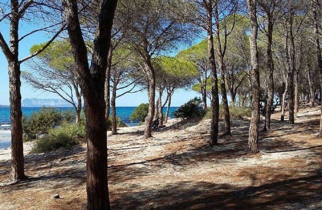 Charming house for 4 people in a quiet area with garden 2 km from the sea