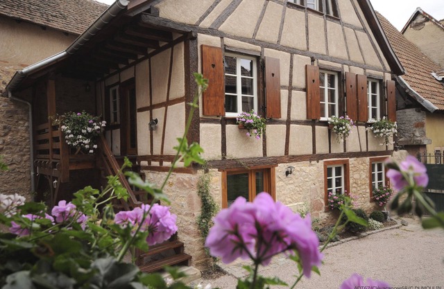 Charming house on the wine route in the "VILLAGE PRÉFÉRÉ DES FRANÇAIS 2022" (FRENCH FAVORITE VILLAGE 2022)