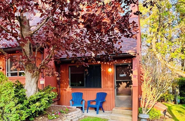 Charming Loft Cabin - Best Location Davis, Thomas, Canaan Valley. Cold AC