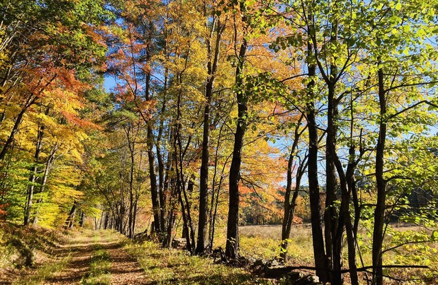 Charming NH log cabin "Lake Escape" on Highland Lake in Stoddard ~