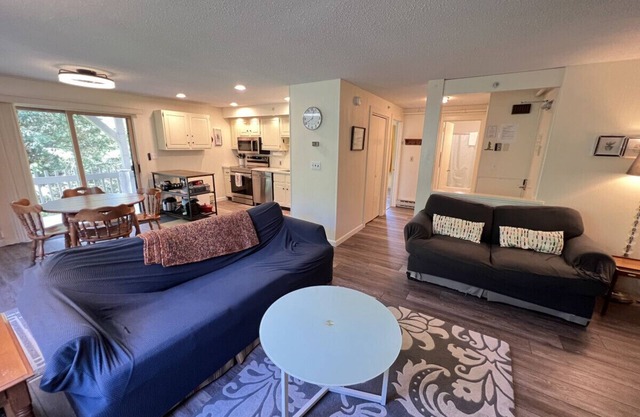 Charming One-Bedroom Condo on Bromley Mountain