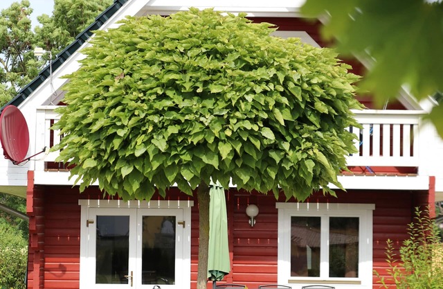 Charming vacation home, at the center of Germany for up to 8 guests.