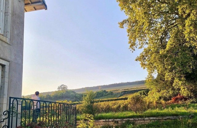Charming villa in the middle of the vineyards