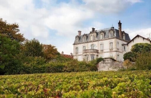 Chateau de Mercurey. 8 luxury bedrooms with ensuite bathrooms. heated pool.