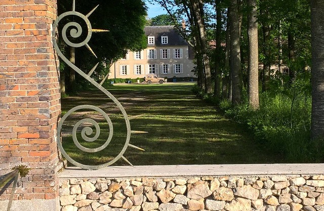 Chateau with ponds (40 HA), swimming pool, and forests between Fontainebleau and Sens
