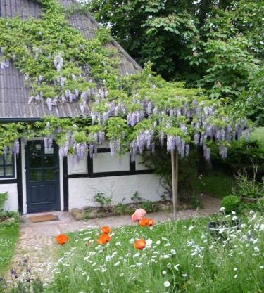 Chestnut Cottage