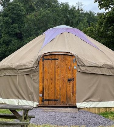 Chestnut - Yurt