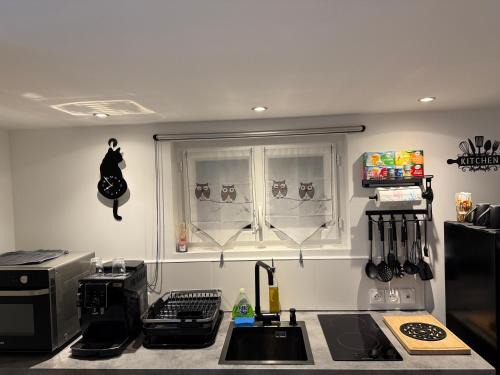 Chez Pascal et Louna au calme ! Near Paris, transport RER B, Roissy CDG Airport, Disneyland