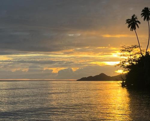 Classic Fijian Home