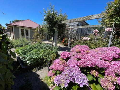 Classical & new CNZhouse with space