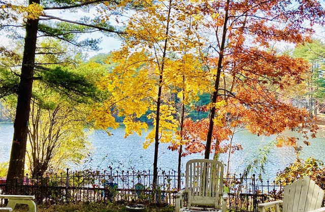 Clear Pond Inn- Suite, Pet friendly Pond front studio apartment sleeps 4 guests.