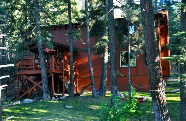 Close To Everything, but Away From It All! Pet Friendly Paradise Forest Back