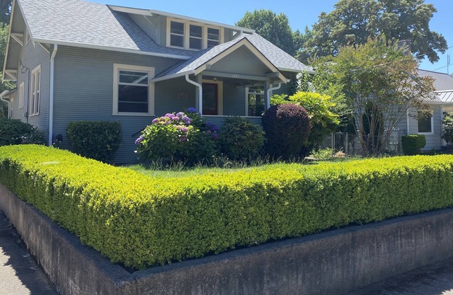 Close to Silver Falls and the Oregon Gardens.