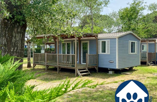 Club Del Sole Spina Family Collection