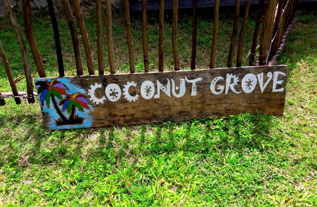 Coconut Grove - Midigama