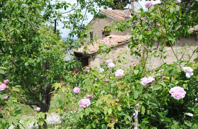 Come and enjoy the authentic Tuscan country life in stunning settings