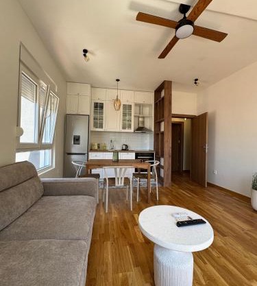 Comfort Stylish Apartment IVSOLE