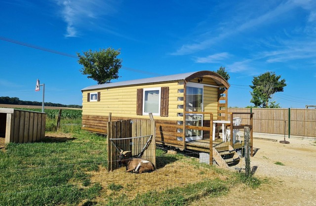 Comfortable bohemian caravan at educational farm near Nancy