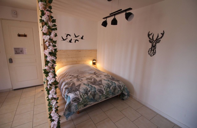 Comfortable T1 apartment at Lac du Der
