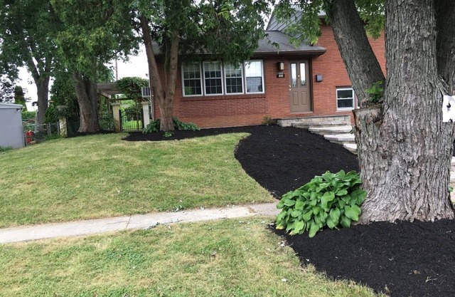 Comfortable 3-bedroom House near Sesame Place