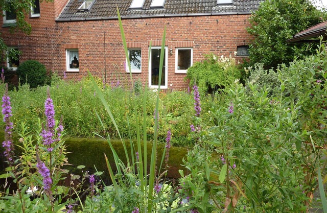 Comfortable apartment with dream garden
