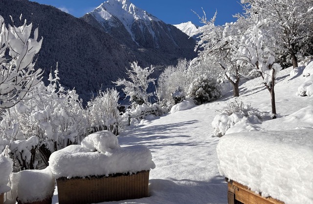 Comfortable home, chalet decor, garden - EXCEPTIONAL VIEW - near Saint-Lary