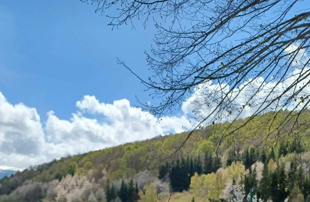 COMFORTABLE MOUNTAIN HOUSE