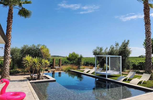 Contemporary wine estate villa with infinity pool