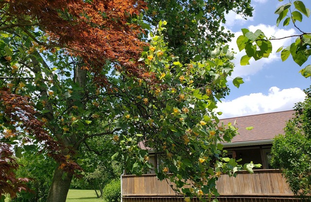 Conveniently located 2 bedroom home only minutes from hiking and state park fun!