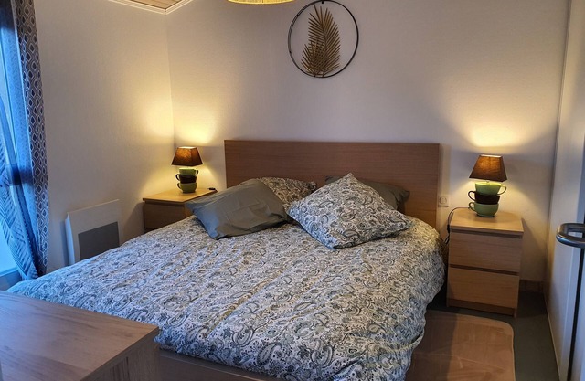 Cosy, air-conditioned apartment near the Casteljaloux Spa 5min from CenterParcs