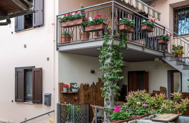 Cosy apartment for 4 guests with WIFI, TV, terrace, pets allowed and parking