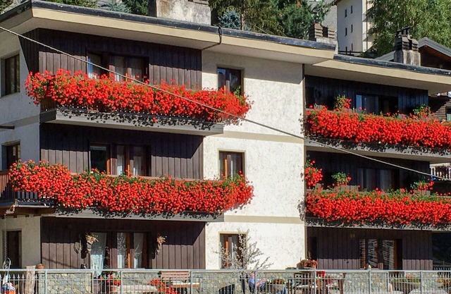 Cosy apartment for 4 guests with WIFI, TV, terrace and pets allowed
