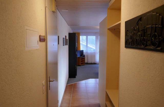 Cosy apartment for 3 guests with WIFI, TV, balcony, pets allowed and panoramic view