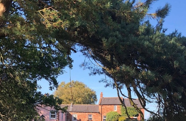 Cosy Cottage, Full Of Character Situated Along A Woodland Drive