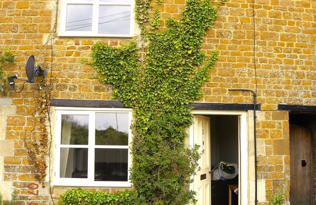Cosy cottage with great pubs and brewery within walking distance. Pet friendly