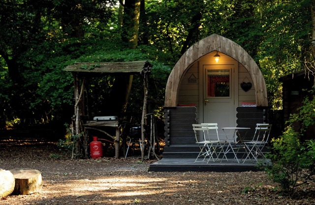 Cosy Daisy Glamping pod in secluded woodland setting