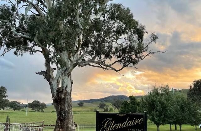 Cosy farm stay, family and pet friendlynClose to Historic Hill End and Sofala