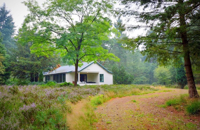 Cosy Holiday Home in Maarheeze with Verandah