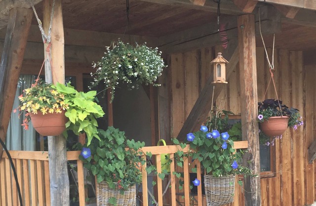 COSY STUDIO IN THE HEART OF THE BAUGES