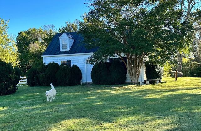 Cottage and working farm in heart of Virginia wine country near UVA & Woodberry