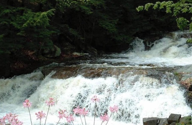 Cottage beside a waterfall