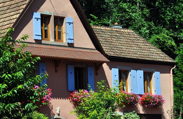 Cottage in a quiet and green ski trails near hiking