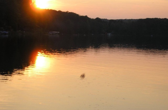 Cottage in Crystal Lake
