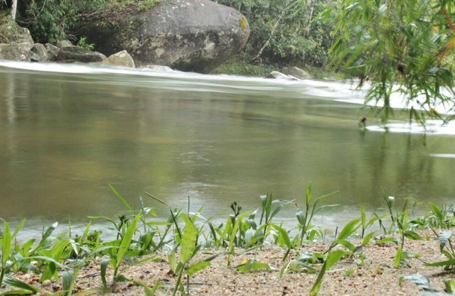 cottage in the countryside, good walks, in Toca da Onça, Lumiar