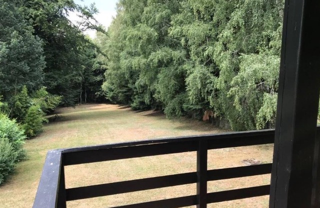Cottage on the edge of the wood