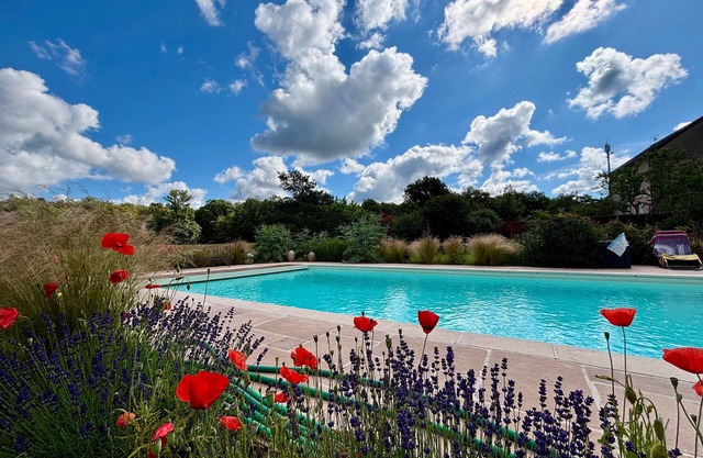 Cottages with shared pool in the Brenne, near historic sites