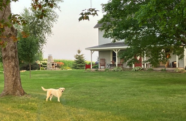 Country Chic, Hovde Home at Labrador Farm