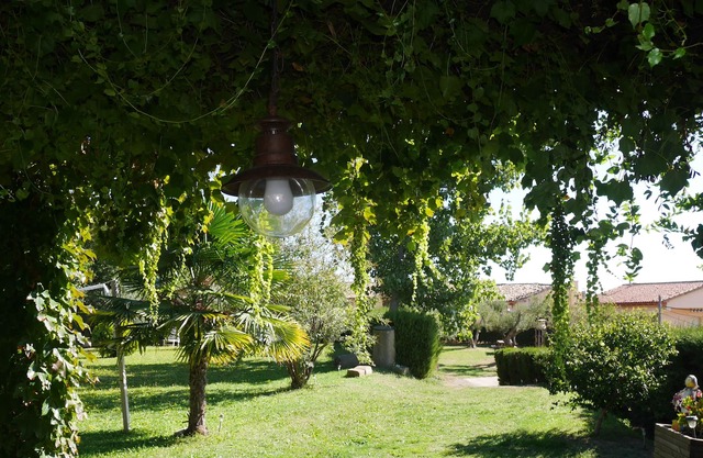 Country holiday home - Salas Altas