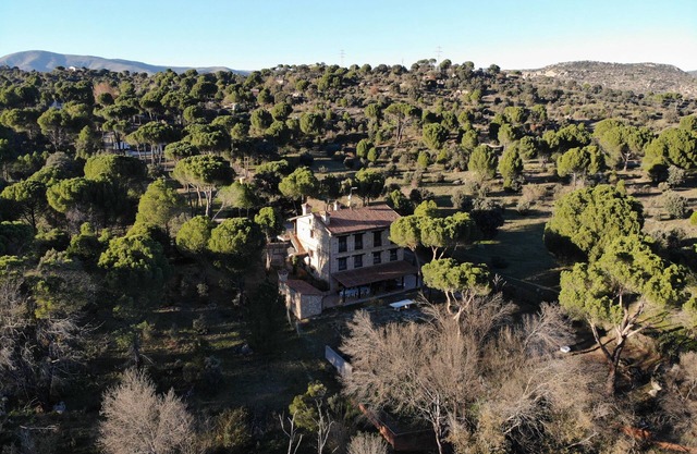 Country House 5000sqm · Pool · Paddel · Bbq · 1h f/Madrid-ávila-toledo · 16pax